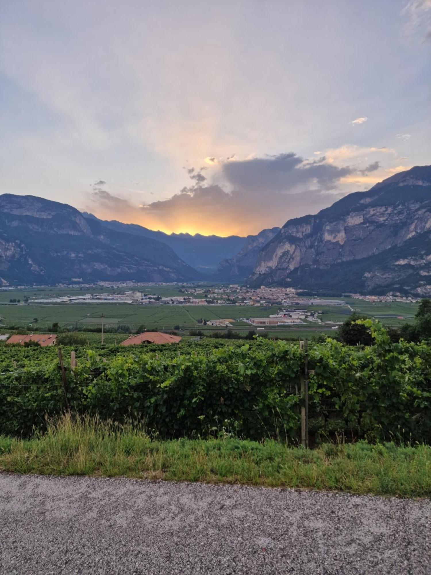 San Michele allʼAdige Hotel Garni La Vigna - Adult Friendly מראה חיצוני תמונה